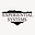 Experiential Systems, Inc. (ESI) logo